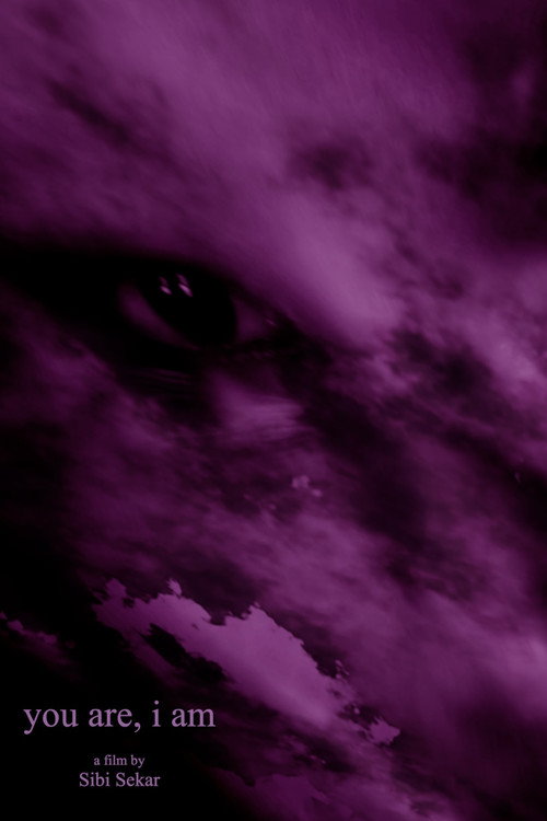Movie poster for you are, i am