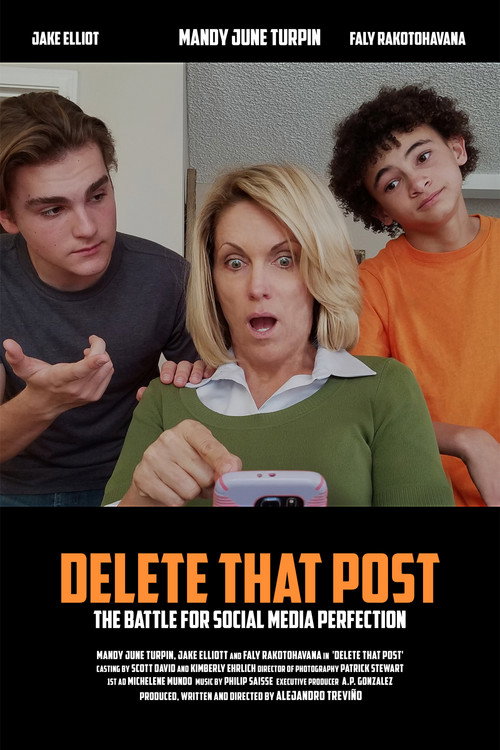 Movie poster for Delete that Post (2016)