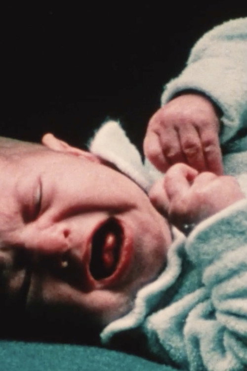 Movie poster for Miss Jesus Fries on Grill (1973)