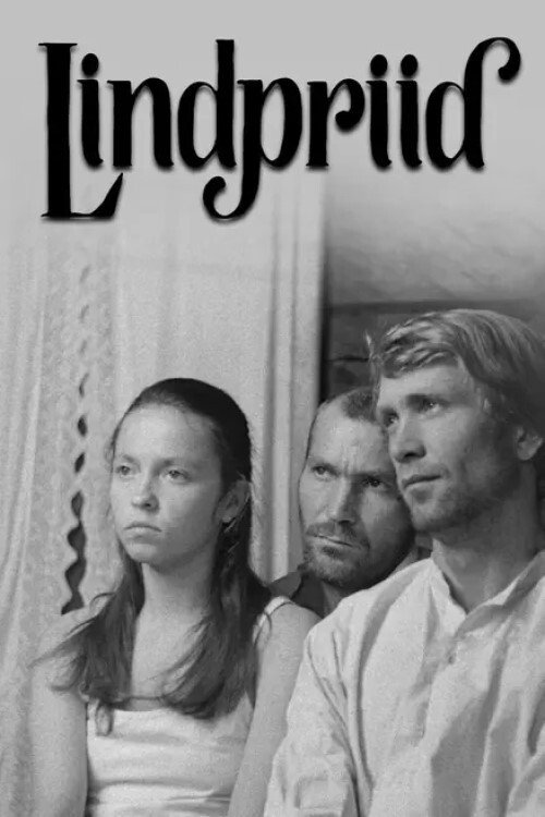 Movie poster for Outlaws (1971)