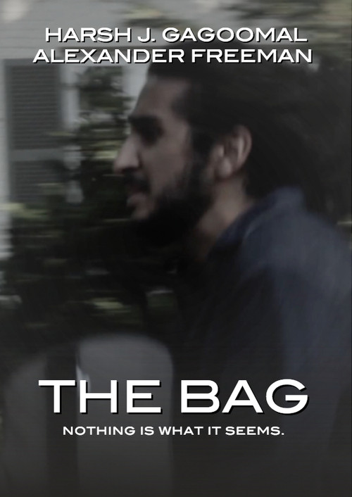 Movie poster for The Bag (2015)