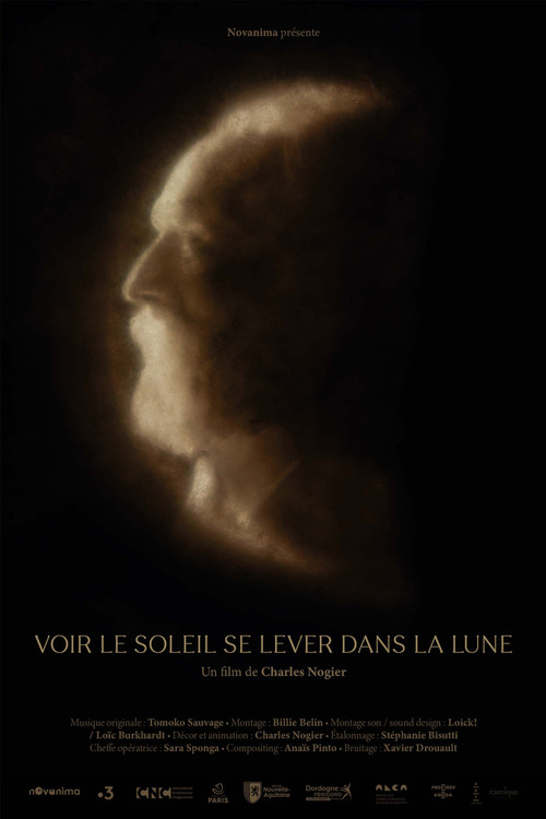 Movie poster for Voir le soleil se lever dans la lune (2024)