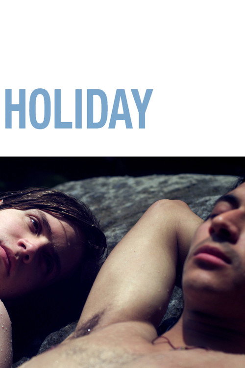 Movie poster for Holiday (2014)
