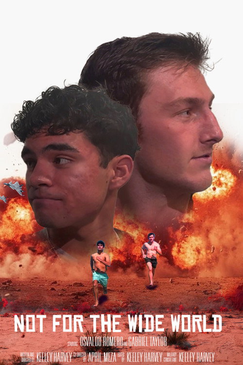 Movie poster for Not for the Wide World (2026)