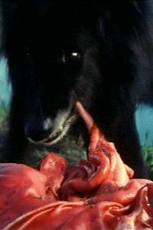 Movie poster for Hostel Party (1990)