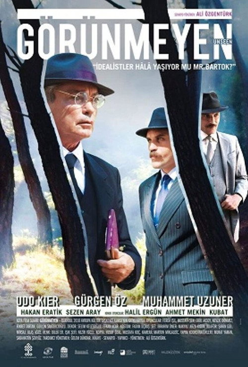 Movie poster for Görünmeyen (2011)