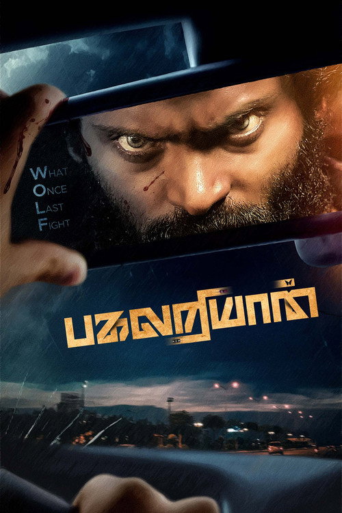 Movie poster for Pagalariyaan (2024)