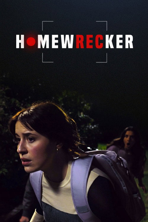 Movie poster for Homewrecker (2025)