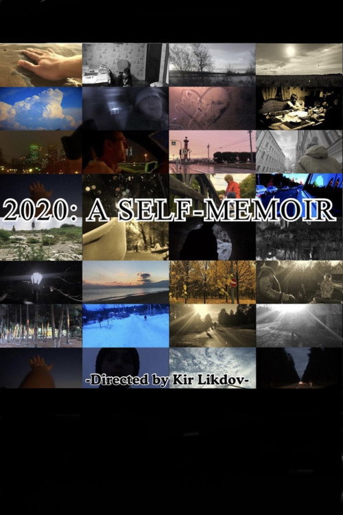 Movie poster for 2020: A Self-Memoir (2021)