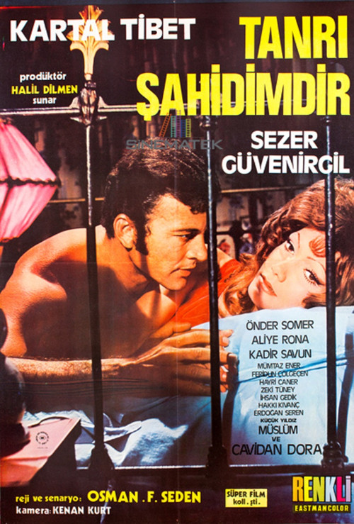 Movie poster for Tanrı Şahidimdir (1971)