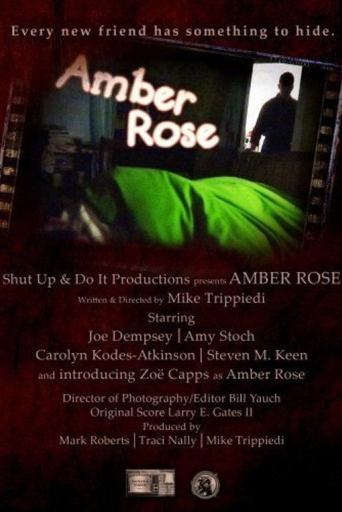 Movie poster for Amber Rose (2010)