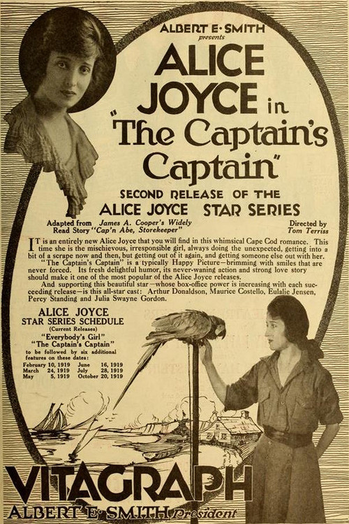 Movie poster for The Captain's Captain (1919)