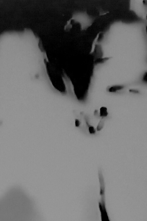 Movie poster for Witches Walk Monochrome (2016)
