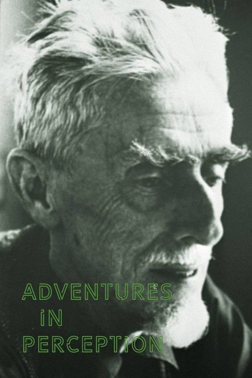 Movie poster for Adventures in Perception (1971)