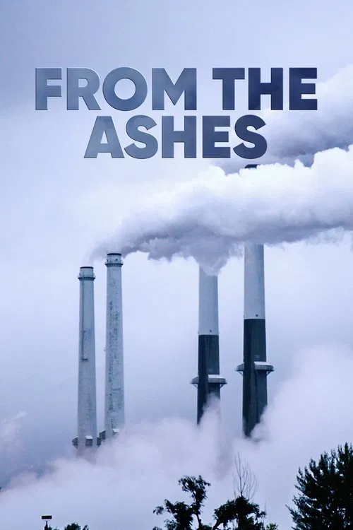 Movie poster for From the Ashes (2017)
