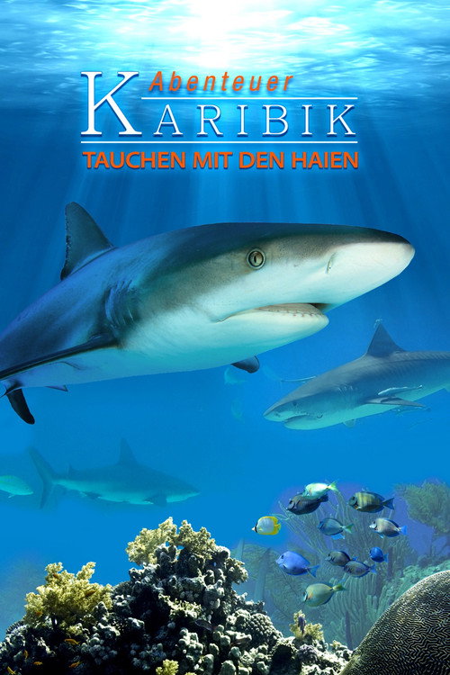 Movie poster for Adventure Caribbean 3D: Diving With Sharks (2012)
