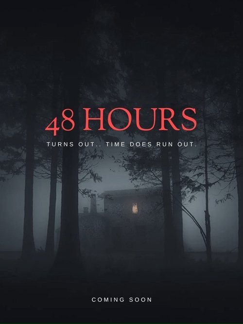 Movie poster for 48 Hours (2026)