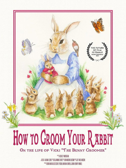 Movie poster for How to Groom Your Rabbit (2025)