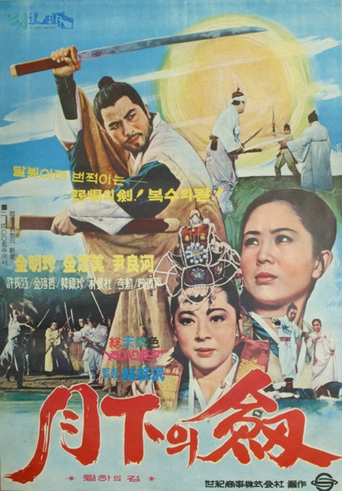 Movie poster for A Sword Under the Moon (1970)