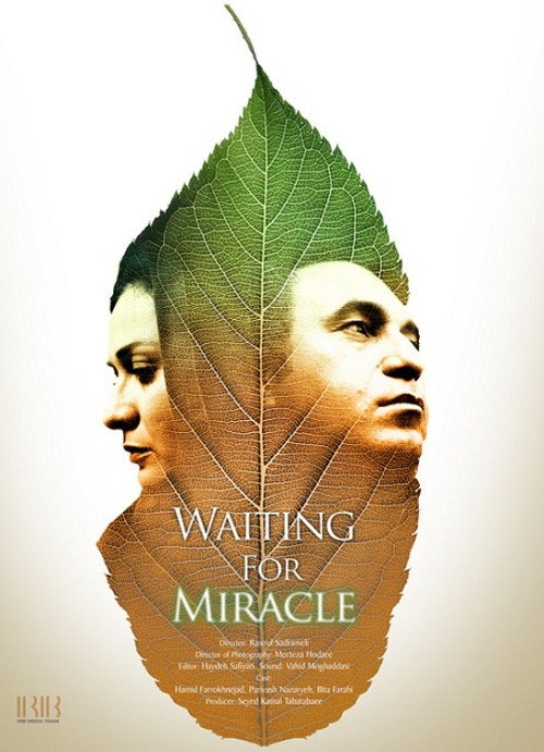 Movie poster for Waiting For Miracle (2012)