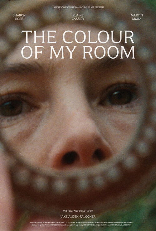 Movie poster for The Colour of My Room (2024)
