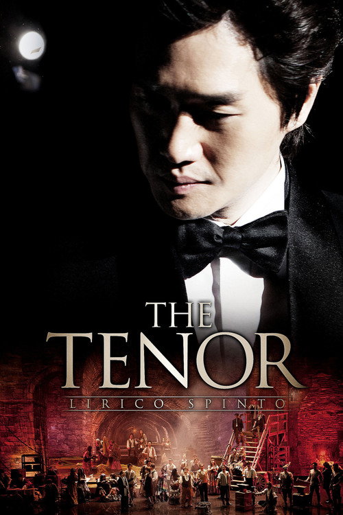 Movie poster for The Tenor - Lirico Spinto (2014)