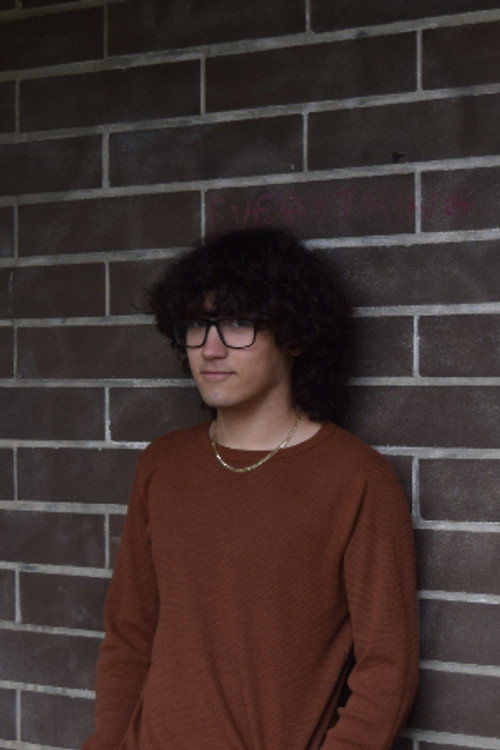 Louis Plastini profile