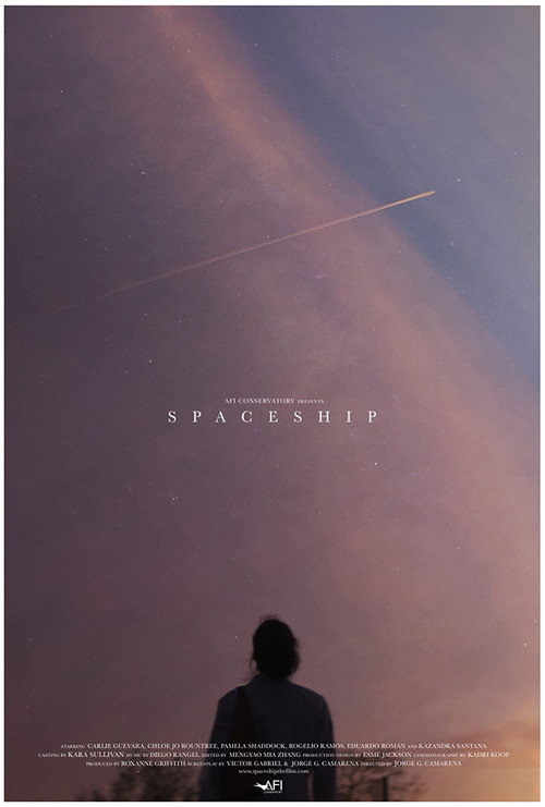 Movie poster for Spaceship (2021)
