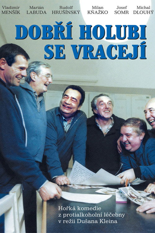 Movie poster for Dobří holubi se vracejí (1989)