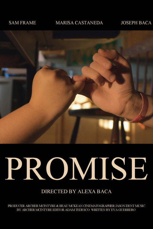 Movie poster for Promise (2026)