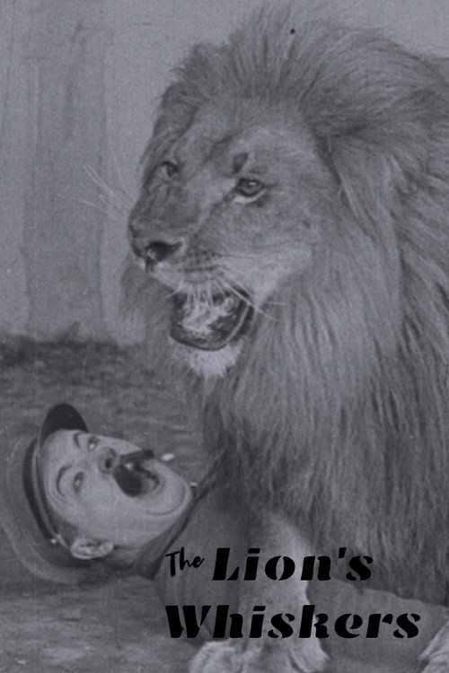 Movie poster for The Lion's Whiskers (1925)