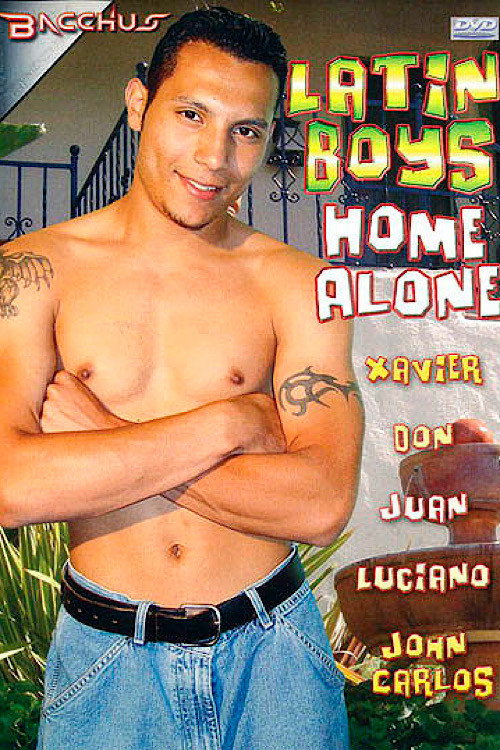 Movie poster for Latin Boys Home Alone (2006)