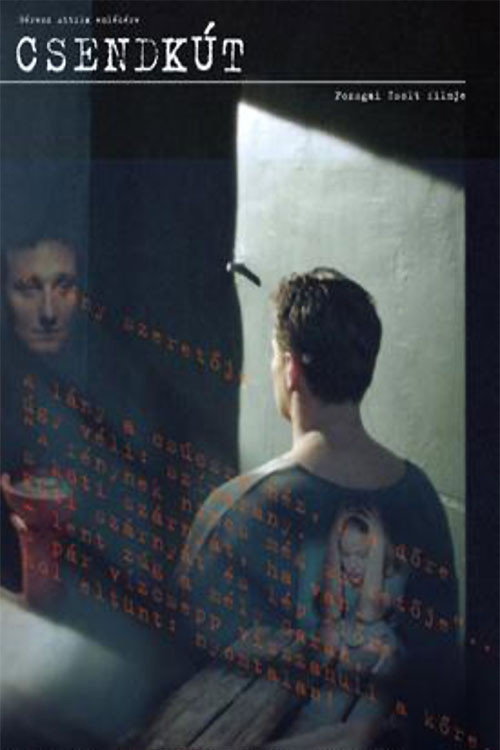 Movie poster for Well of Silence (2007)