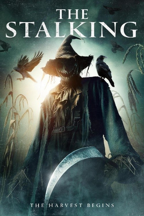 Movie poster for The Stalking (2024)