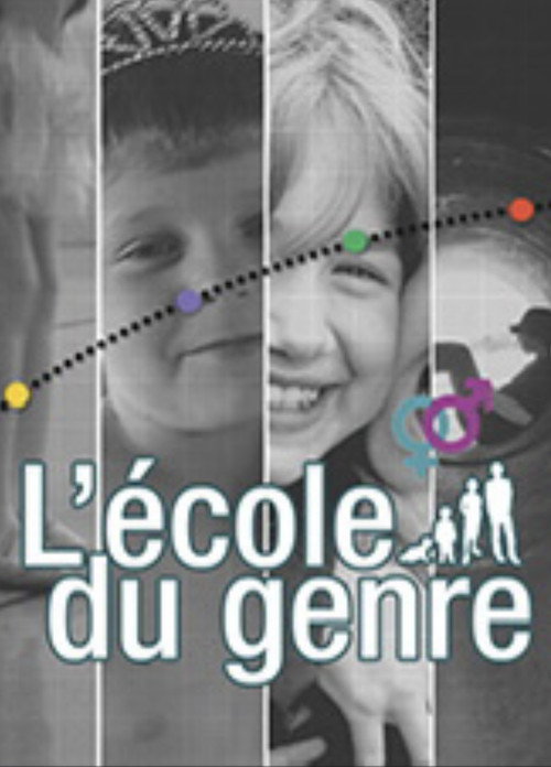 Movie poster for At the Gender School (2016)