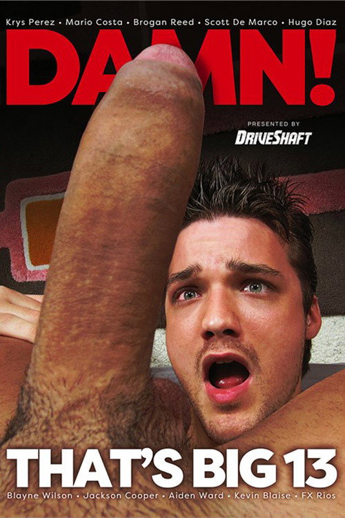 Movie poster for Damn That's Big 13 (2016)
