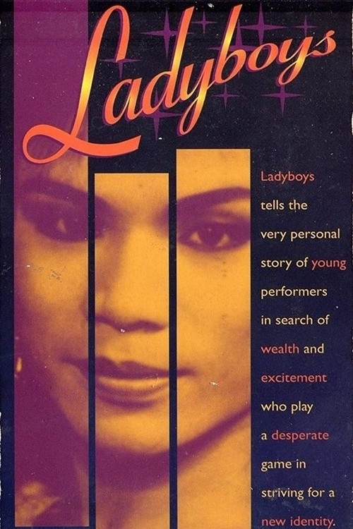 Movie poster for Ladyboys (1992)