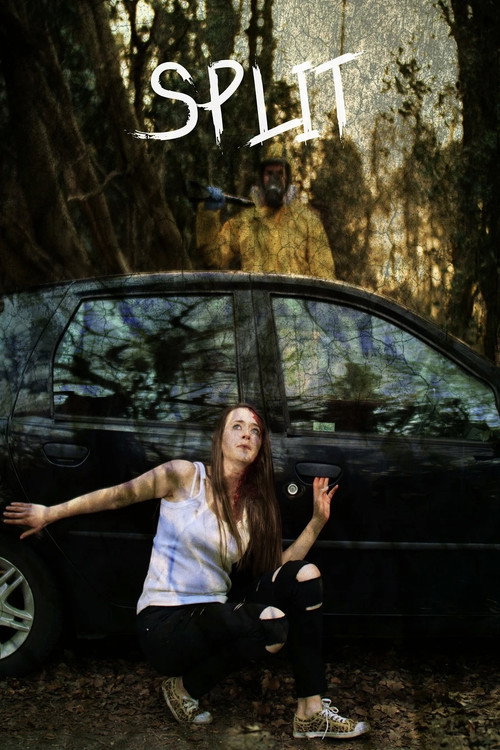 Movie poster for Split (2021)