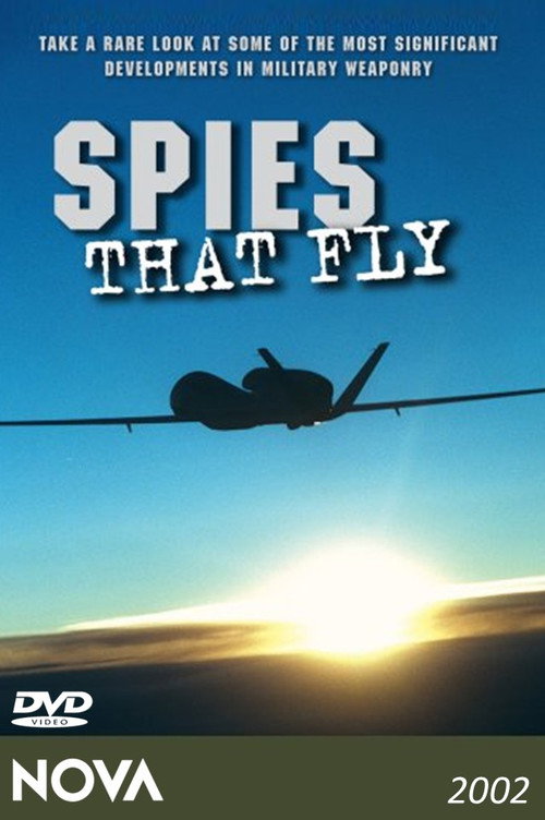 Movie poster for Spies That Fly (2003)