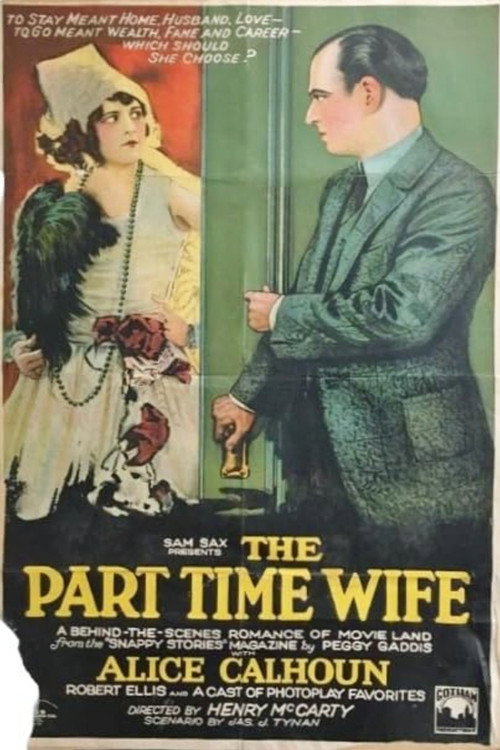 Movie poster for The Part-time Wife (1925)