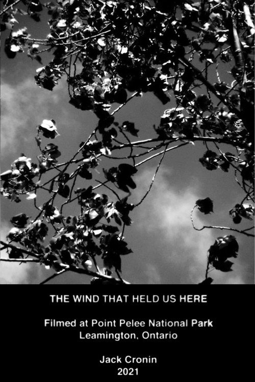 Movie poster for The Wind That Held Us Here (2021)