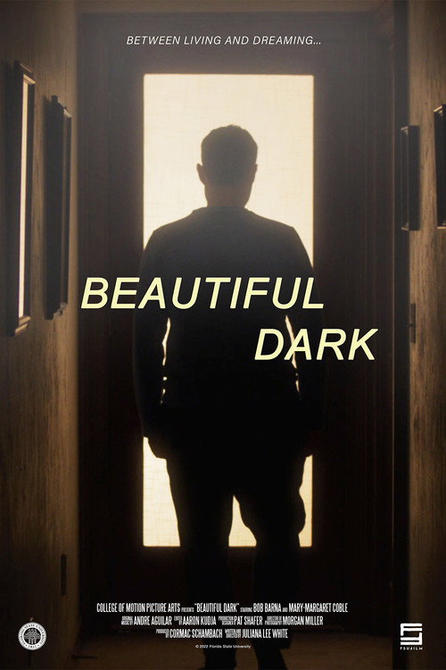 Movie poster for Beautiful Dark (2022)