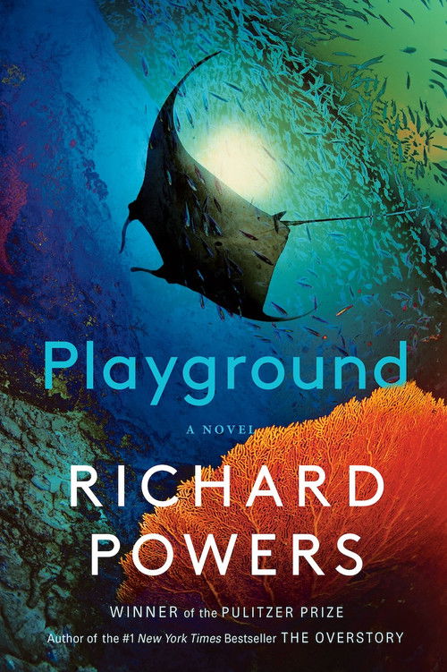 Movie poster for Playground