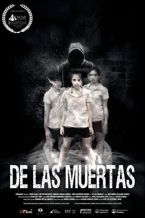 Movie poster for About the Deaths (2016)