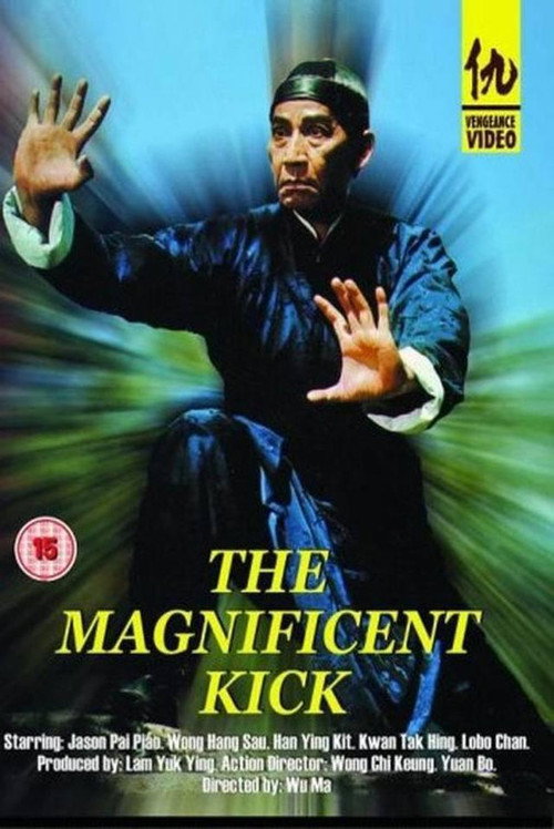 Movie poster for The Magnificent Kick (1980)