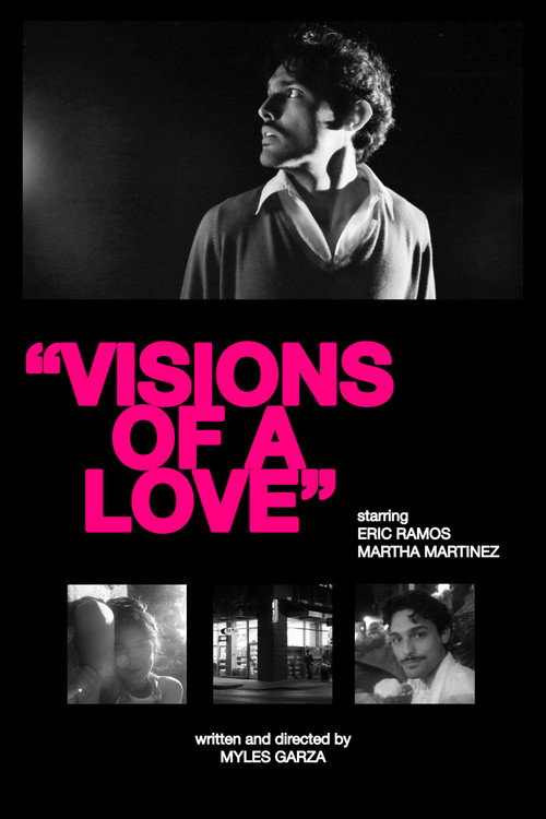 Movie poster for Visions of a Love (2024)