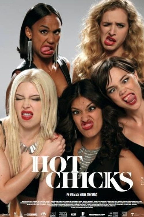 Movie poster for Hot Chicks (2014)