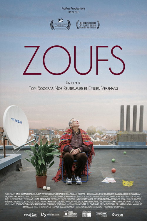 Movie poster for Zoufs (2015)
