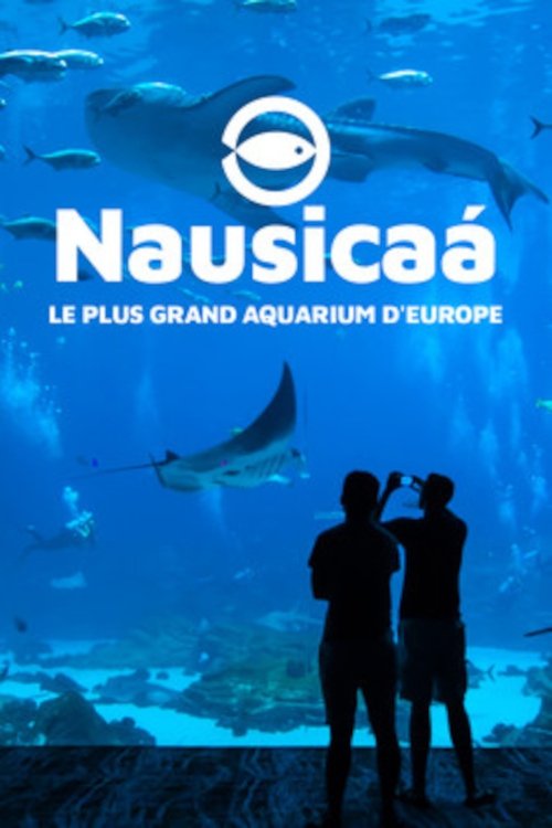 Movie poster for Nausicaa: The Largest Aquarium in Europe (2019)
