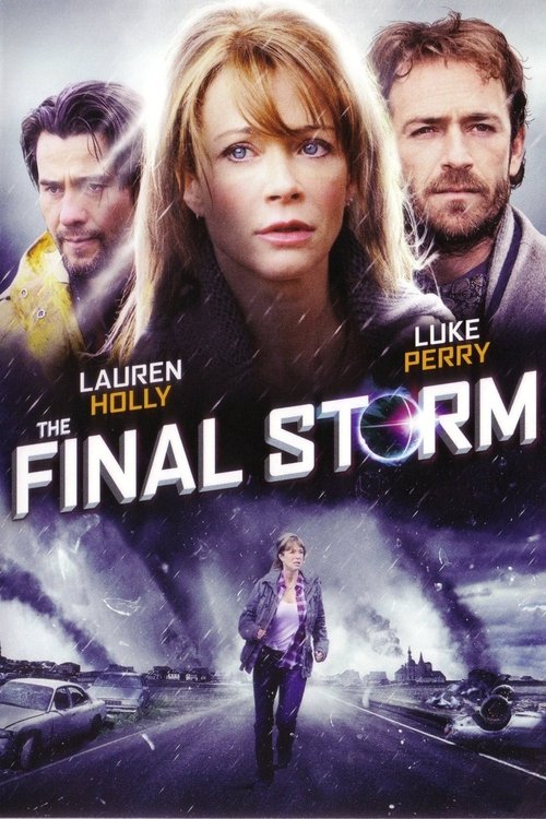 Movie poster for The Final Storm (2010)